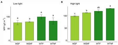 Does Fluctuating Light Affect Crop Yield? A Focus on the Dynamic Photosynthesis of Two Soybean Varieties